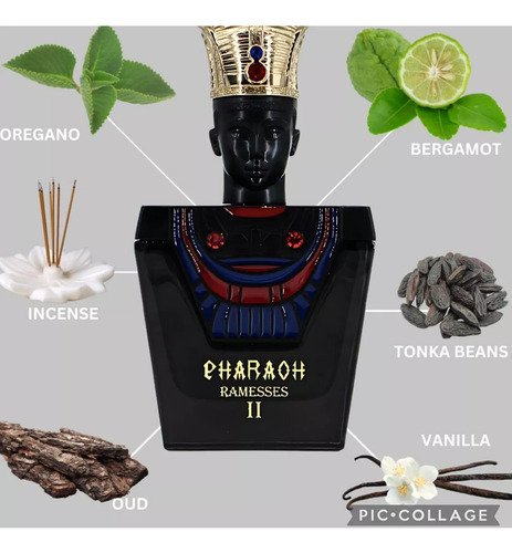 Perfume Bharara Pharaoh Ramesses 2 Parfum 100ml