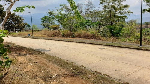Imagen 7 de 14 de En Venta Terreno En Valencia Guataparo Country Club De 900m2