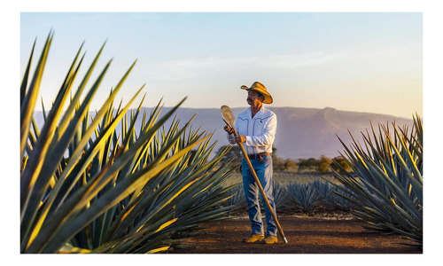 3x2 Tequila Herradura Plata 950 Ml