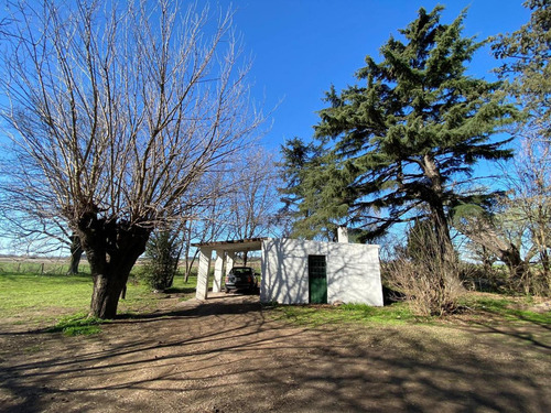 Terreno En Venta - 20.000mts2 - Mechita, Alberti