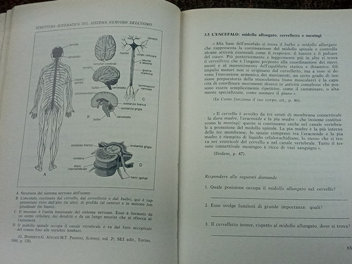 Imagen 4 de 5 de Il Linguaggio Delle Scienze Biologiche * Cernetti Pietrobono
