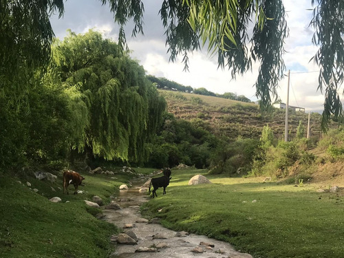 Imagen 3 de 14 de Para Amantes De La Naturaleza ... Tafí Del Valle