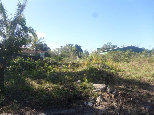 Imagem 1 de 3 de Terreno Em Itanhaém - Ita3125