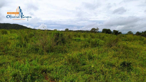 Chácara Com 1 Dormitório À Venda, 20000 M² Por R$ 170.000,00 - Zona Rural - Pirenópolis/go - Ch0076
