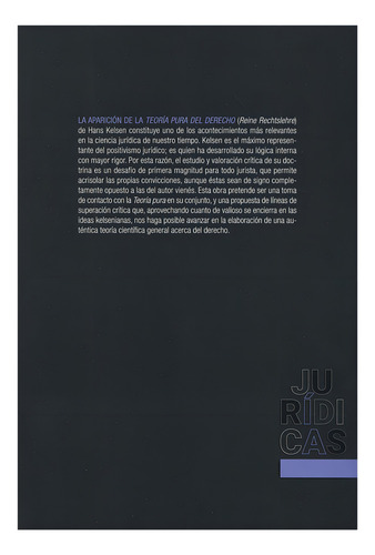 Teorí Pur Del Derecho De Hns Kelsen: Visión Crític, De Crlos José Errázuriz Mckenn. Editoril Instituto De Investigciones Jurídics De L Unam, Tp Blnd, Edición 1r. Edición En Espñol, 2024