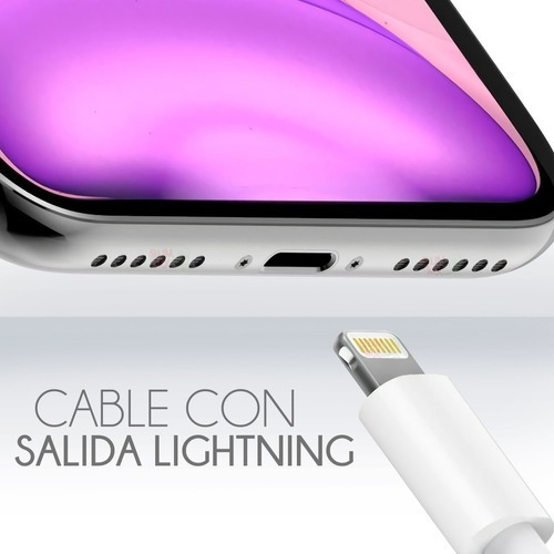 Cable Apple Lightning Cargador iPhone iPad Usb Tipo C A Lightning 2metros