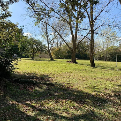 Imagen 10 de 15 de Lote En Arana En Venta De 2560 Mtrs .calle 636 Y 16 Con Hermosa Forestación