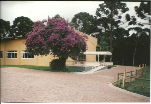Chácara Rural À Venda, Campina, São José Dos Pinhais - Ch0001. - Ch0001
