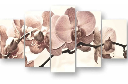 Quadro Decorativo Orquídea Rose Sala Quarto Jantar 5 Peças