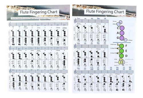 Tabla De Práctica De Digitación De Flauta (56 X 40 Cm), Acor