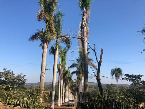 Imagem 1 de 25 de Chácara Com 3 Dormitórios À Venda, 31000 M² Por R$ 850.000,00 - Agua Das Flores - Jataizinho/pr - Ch0032