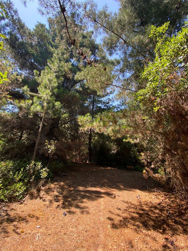 En Venta Excelente Sitio A 5 Minutos De Puertecillo