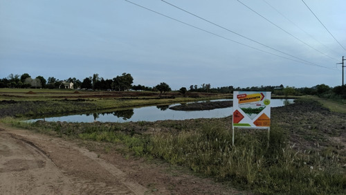 Imagen 3 de 5 de Loteo Buenavista - Terrenos Desde 800m2