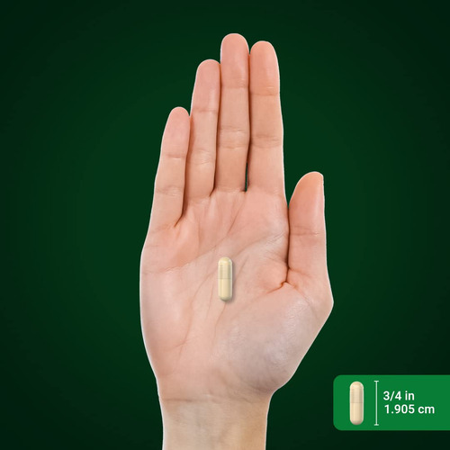 Piping Rock Cissus Quadrangularis 1800 Mg 200 Cápsulas