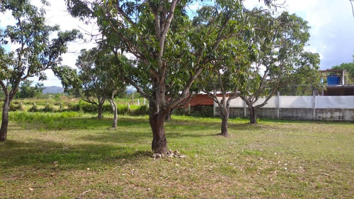 Imagen 5 de 10 de Finca En Guigue