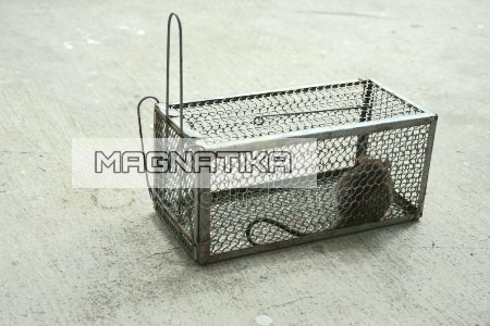 Imagen 4 de 6 de Pack X2 Trampa Raton Jaula Ratones Guarenes Cebadera Captura