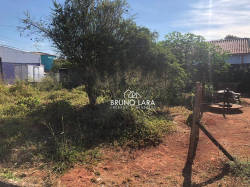 Imagem 6 de 9 de Terreno À Venda Em Igarapé Bairro Roseiras - Te0247