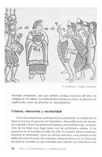 Historia De La Educación Origen De La Enseñanza Form Trillas