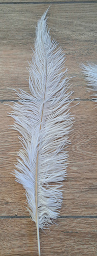 Pluma De Avestruz Blanca El Emporio De Plumas 50 Cm Blanco