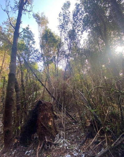 Parcela En Venta En Hualaihue