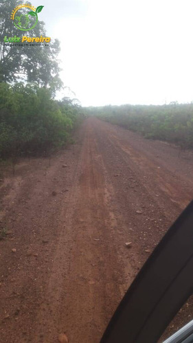 Imagem 13 de 15 de Fazenda À Venda Em Ponte Alta - To - 2.100 Hec / Excelente Argila - 1933
