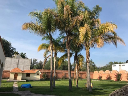 Imagen 2 de 10 de La Florida Residencial
