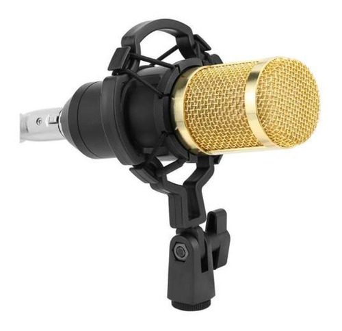 Micrófono Newvision NW-800 condensador cardioide negro/dorado