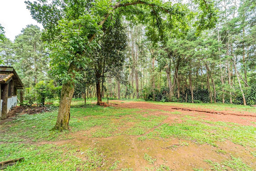Imagem 4 de 30 de Sitio Rural - Praia Paulistanas - Reo639076