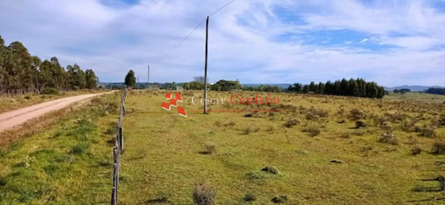 Venta - Chacra En Zona De Bodegas Garzón