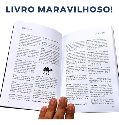 O maravilhoso livro dos sonhos e jogo do bicho - Livros