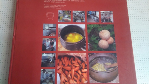 Manual De Gastronomía Con Identidad Local Araucania