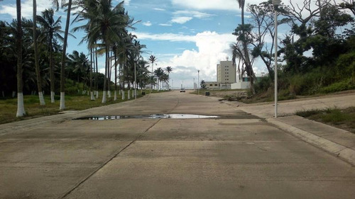 Imagen 1 de 3 de Terreno En Venta Real De Palma
