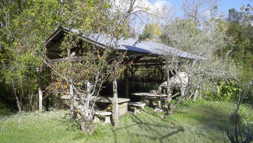 Imagen 11 de 23 de Casa - Parana De Las Palmas Tigre