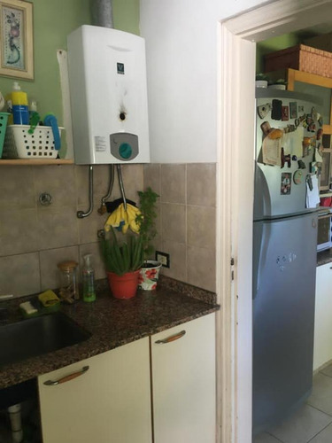 Imagen 12 de 30 de Casa - La Paloma
