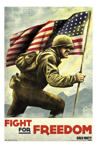 Call Of Duty: Wwii  Fight Wall Poster, 22.375 X 34, Ver...