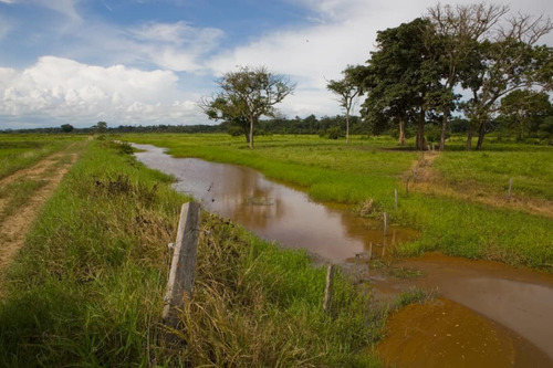 Imagen 25 de 25 de Finca Bufalina Barinas, Parroquia San Silvestre En Venta