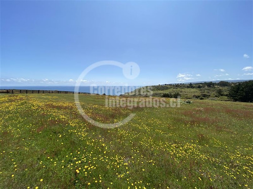 Imagen 9 de 14 de Sitio En Venta En Pichilemu