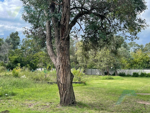 Imagen 4 de 7 de Terreno - Casuarinas Del Pilar