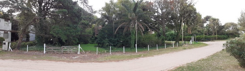 Imagen 5 de 8 de Lote Multifamiliar Pinamar Mar De Ostende 1039 M2 A 250 Mts Del Mar Premios Esquina