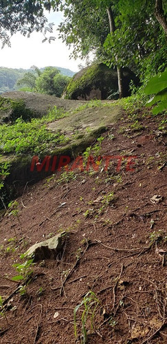 Imagem 14 de 18 de Terreno Em Parque Itaguaçu - São Paulo, Sp - 353933