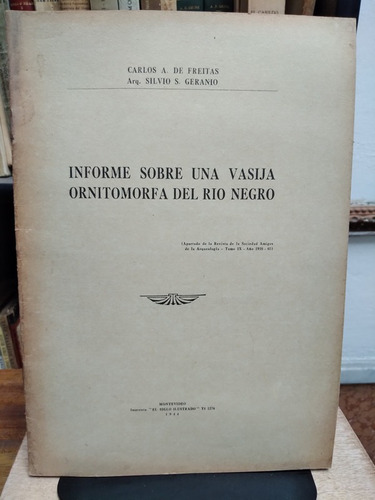 Informe Sobre Una Vasija Ornitomorfa Del Rio Negro