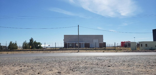 Imagen 5 de 30 de Alquilo Galpon 500 M2 - Predio 11.000 M2 Y Ofi 60 M2 -