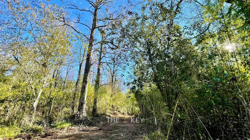 Parcela En Venta En Pedregoso, Villarrica.