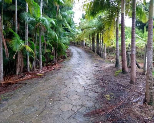 Imagem 21 de 30 de Fazenda - 0132 - 32820420