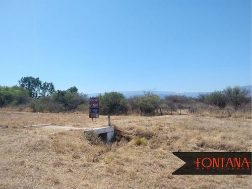 Imagen 5 de 10 de Campo En Venta En Nogolí