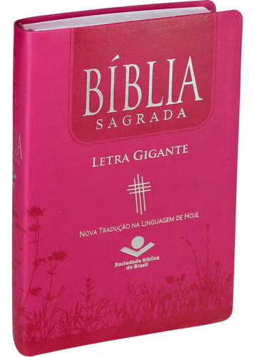 Bíblia Sagrada Ntlh Letra Gigante Capa Preta Couro Sintético