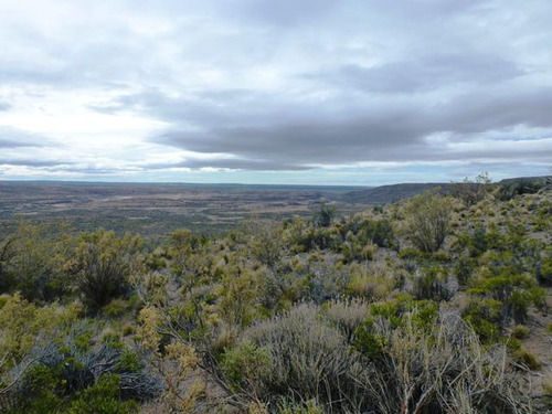 Inmobiliaria Comodoro - Campo 5.000 Has Listo Para Producir - Aguadas Naturales