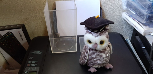 2001 Ty Beanie Baby Smart Owl Class 2001 Plush W Case 18 Cms