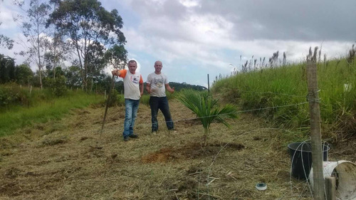 Terreno À Venda Em Registro/sp - Capinzal Do Vitória