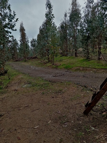 Ruta Los Conquistadores Cauquenes